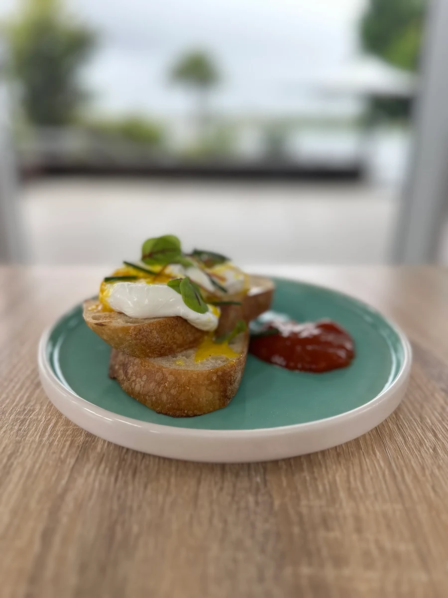 Highlights, Back to Basics Organic Cafe