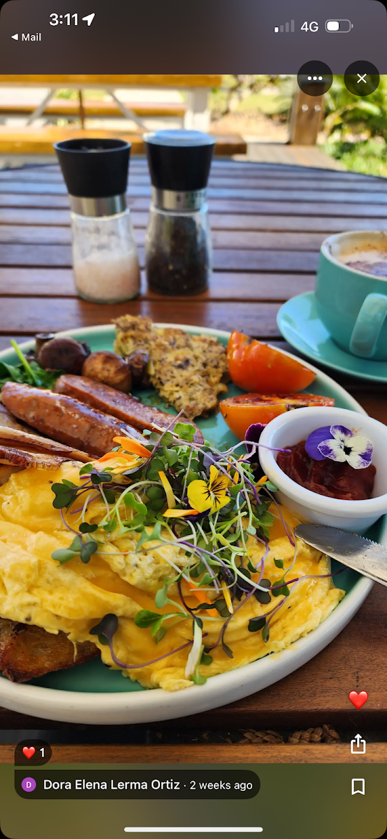 Highlights, Back to Basics Organic Cafe