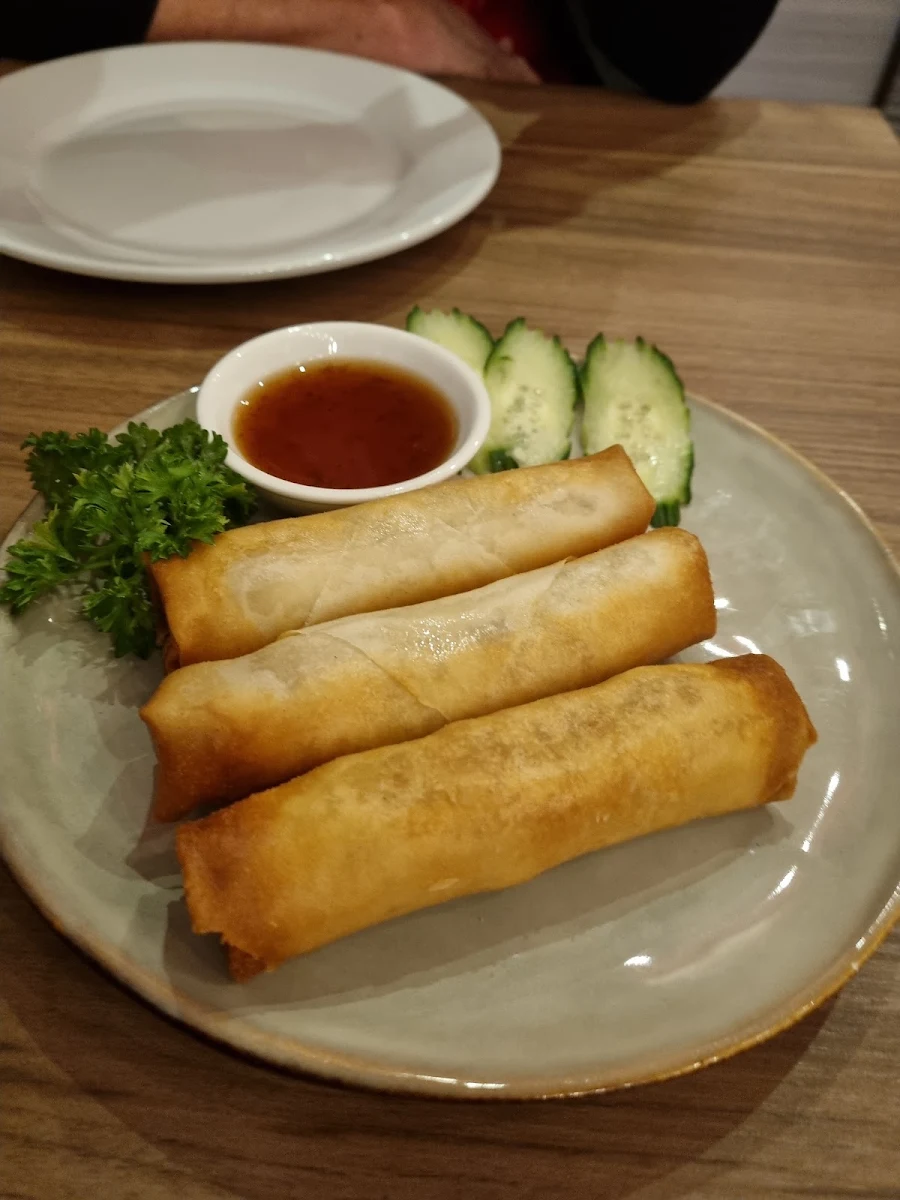 Vegetarian Spring Rolls