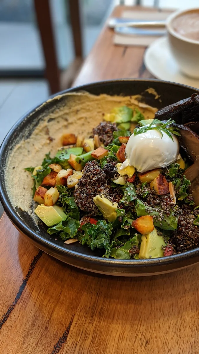 Falafel Bowl