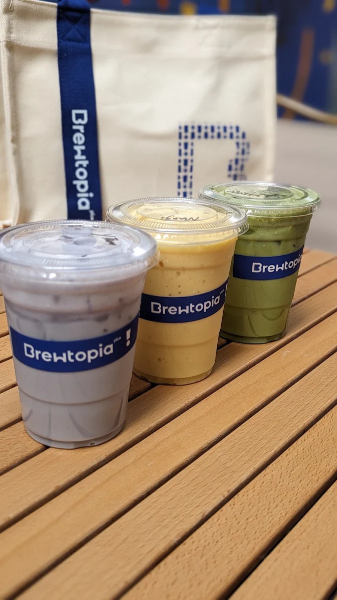 Highlights, Brewtopia plus cafe