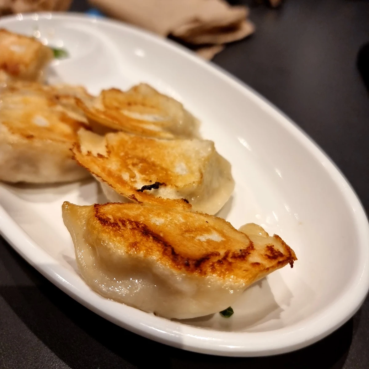 Vegetarian Pan Fried Dumplings