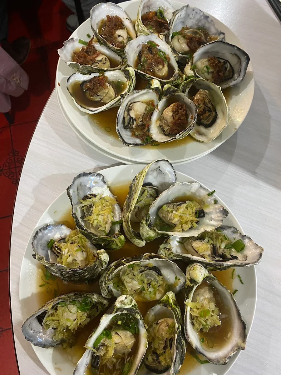 Oysters