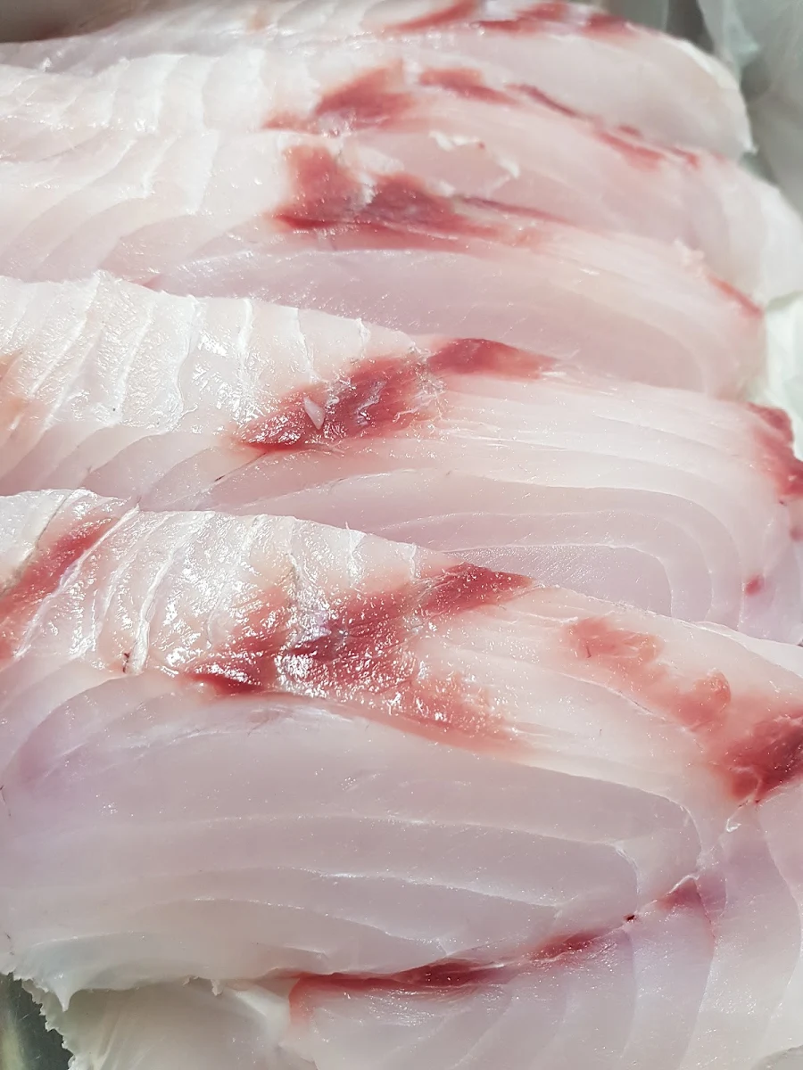 Barramundi, Tobin Fish Tales
