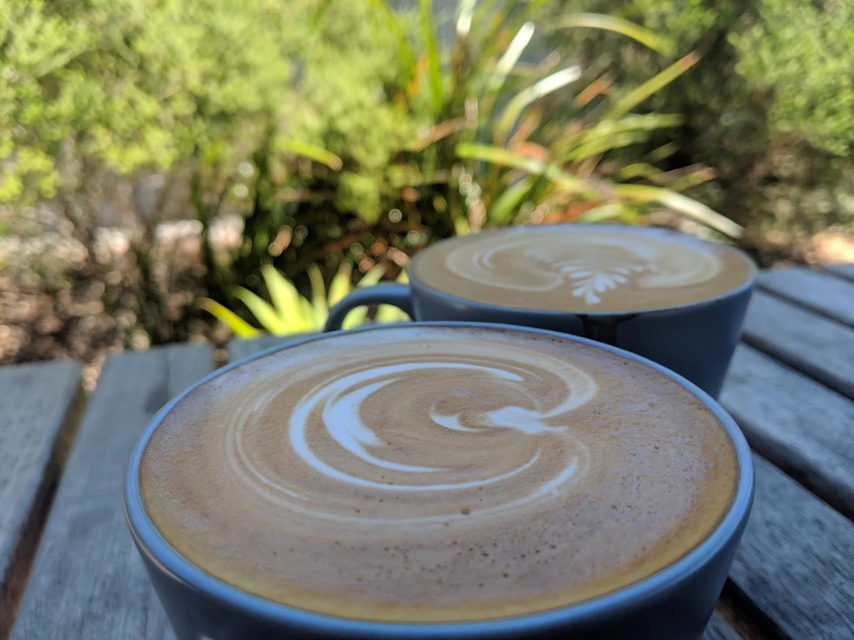 Flat White, The Orange Box
