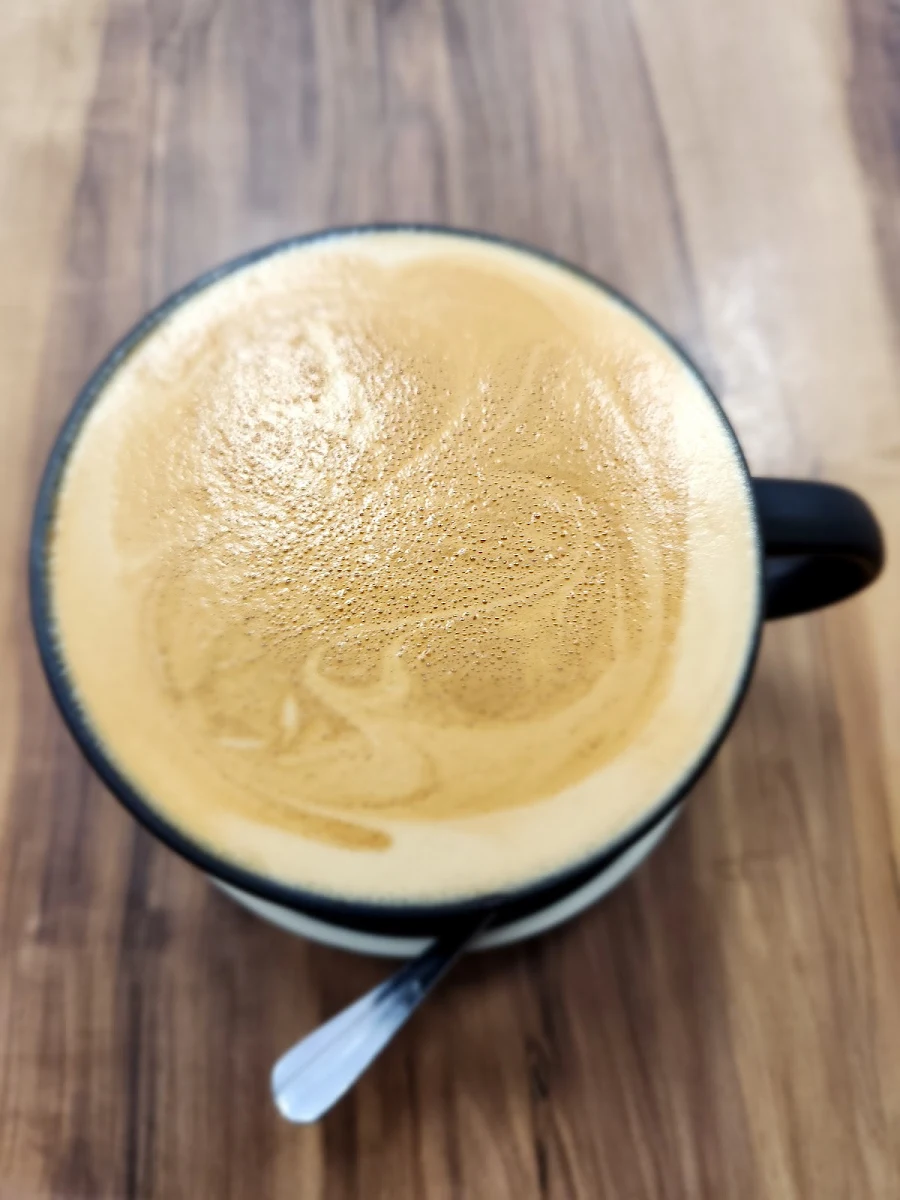 Highlights, The Forest Blend Cafe