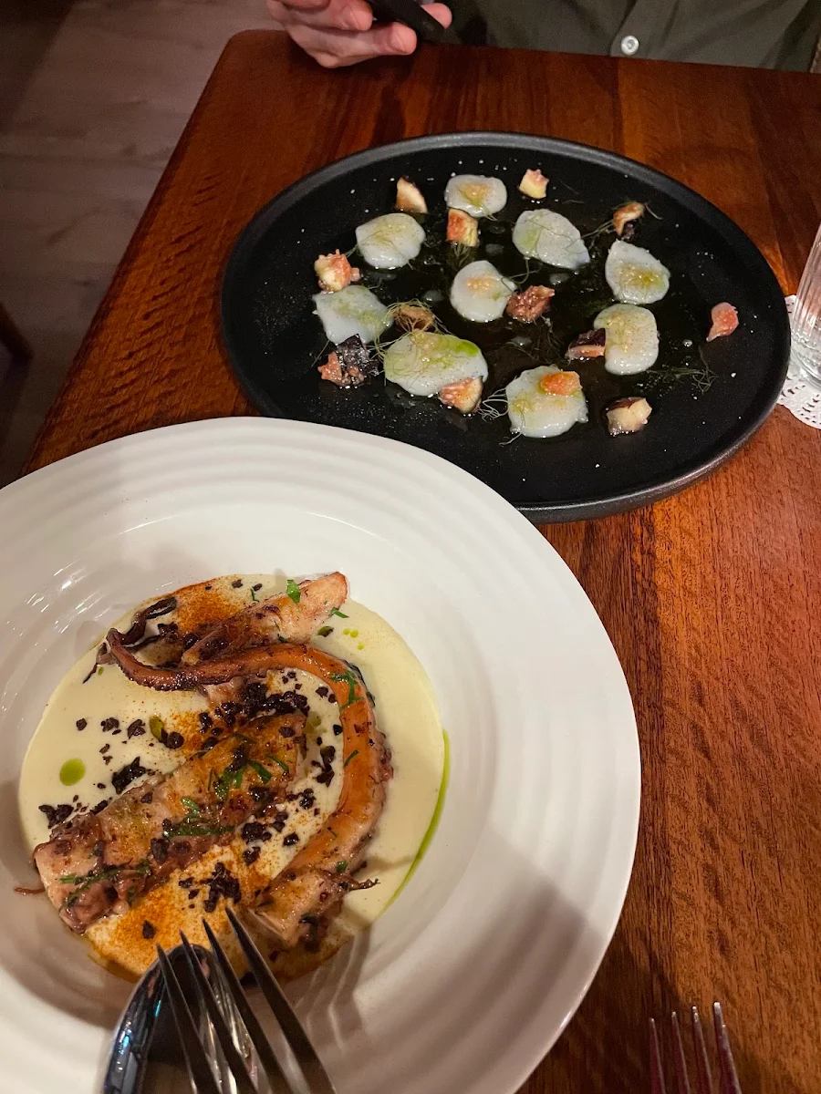 Charred Octopus