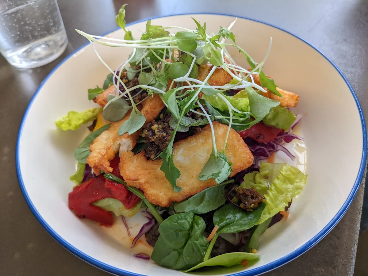 Halloumi Salad, Fodder