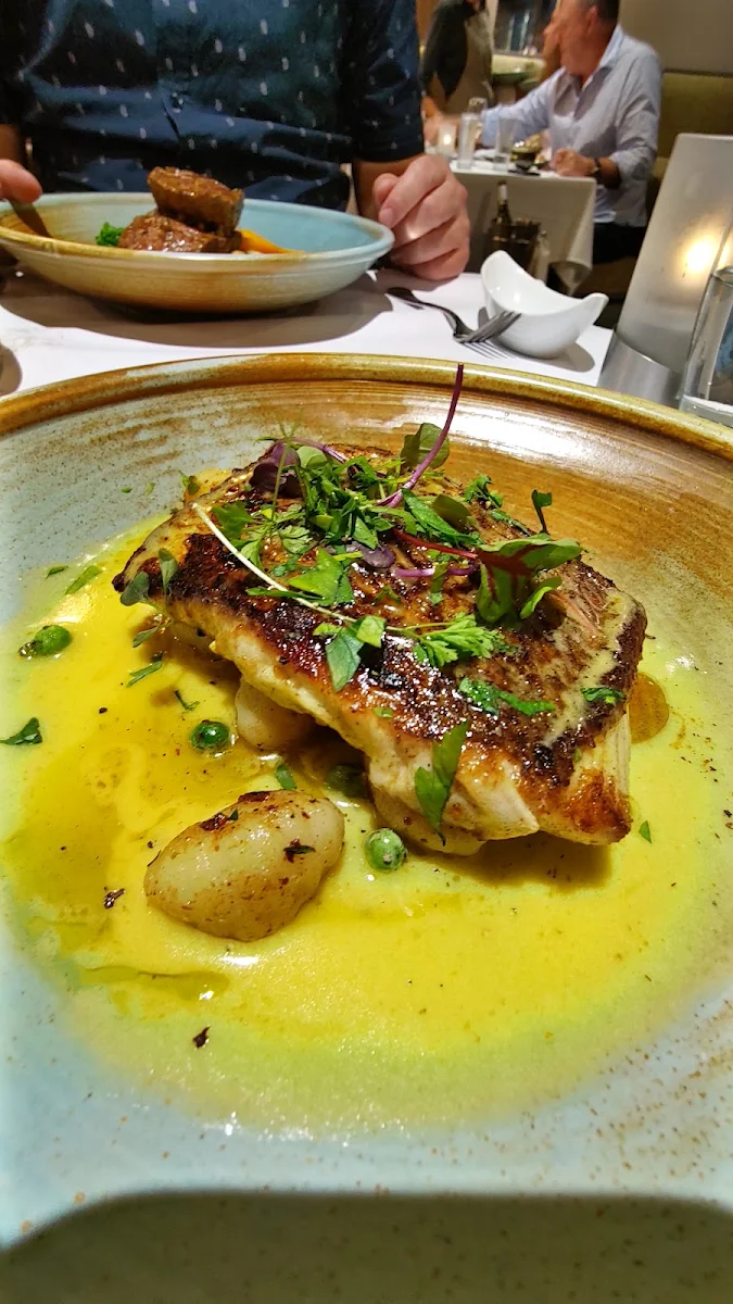 Snapper, Lively Catch