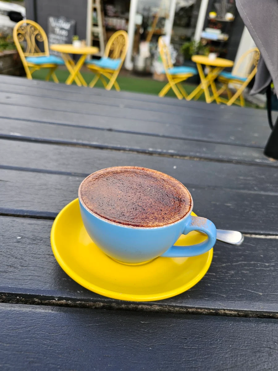 Highlights, Steamhouse Cafe