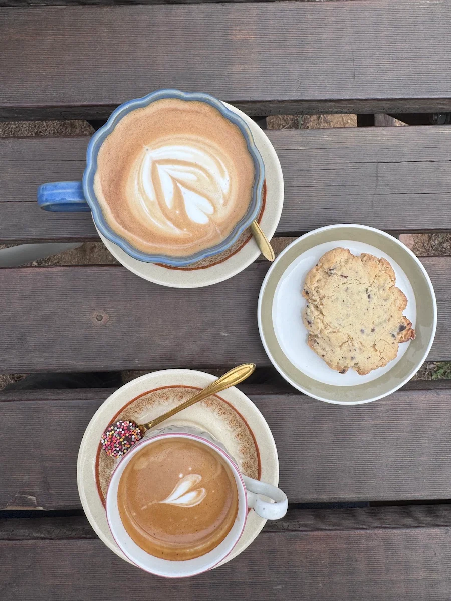 Highlights, Red Dog Roasters