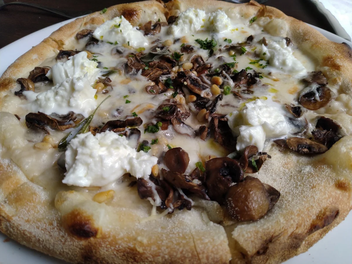 Funghi Pizza