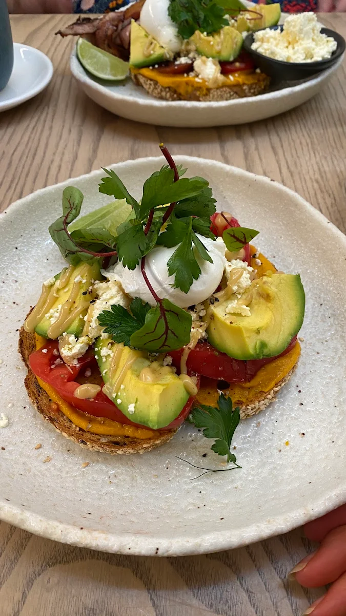 Avocado on Toast Vo GFO