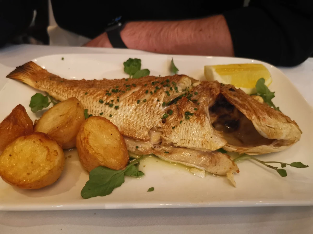 Snapper, Medusa Greek Taverna