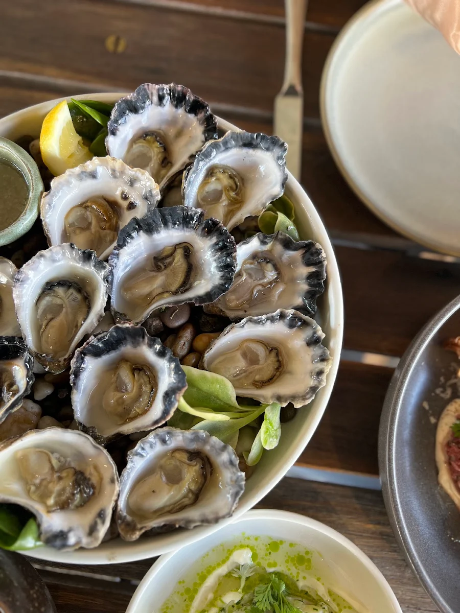 Freshly Shucked Sydney Rock Oysters