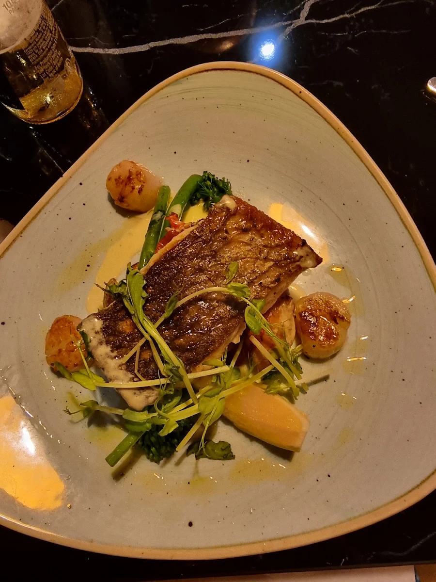 Barramundi