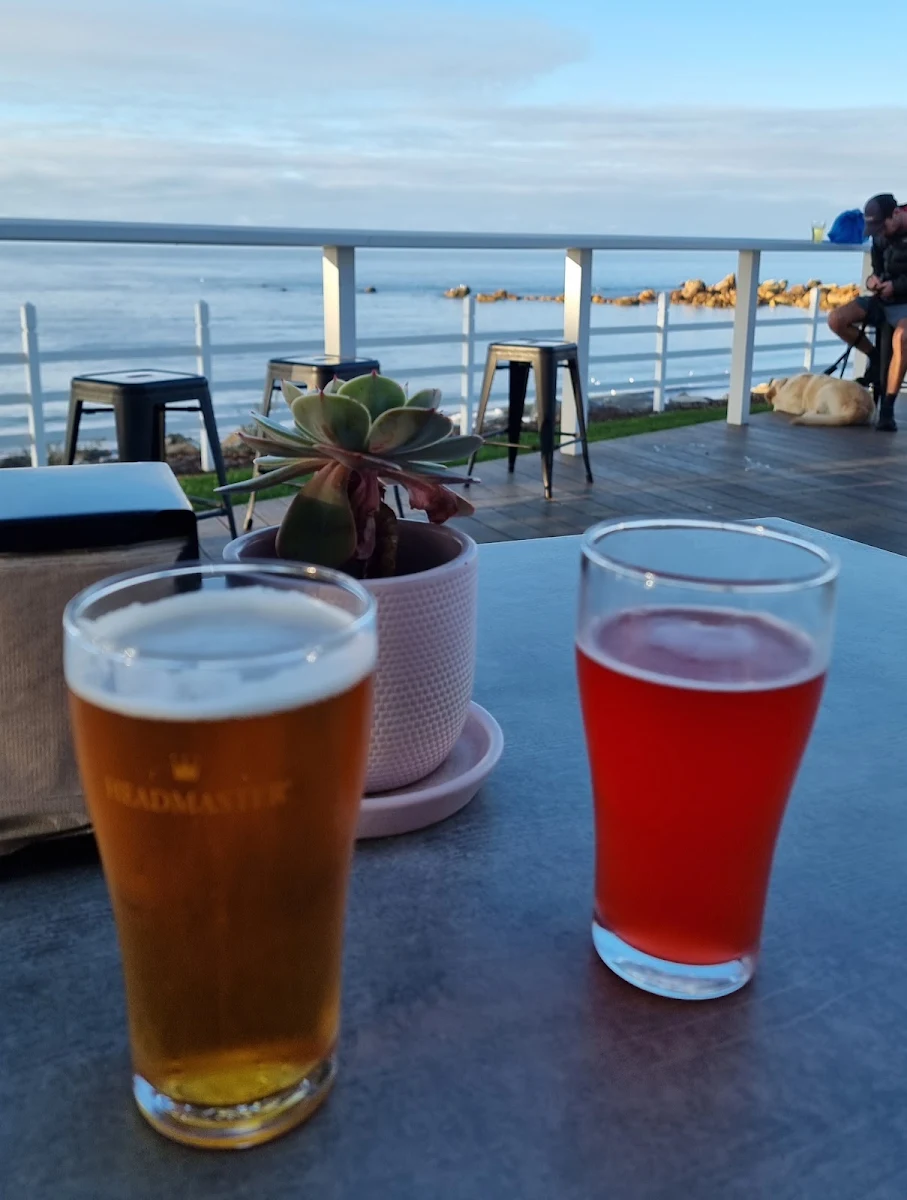 Beer, Penguin Beer Co