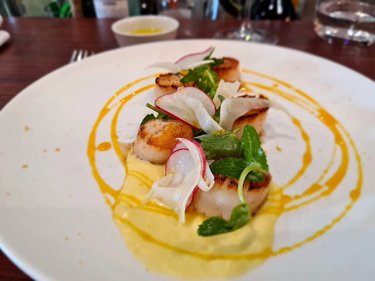 Scallops