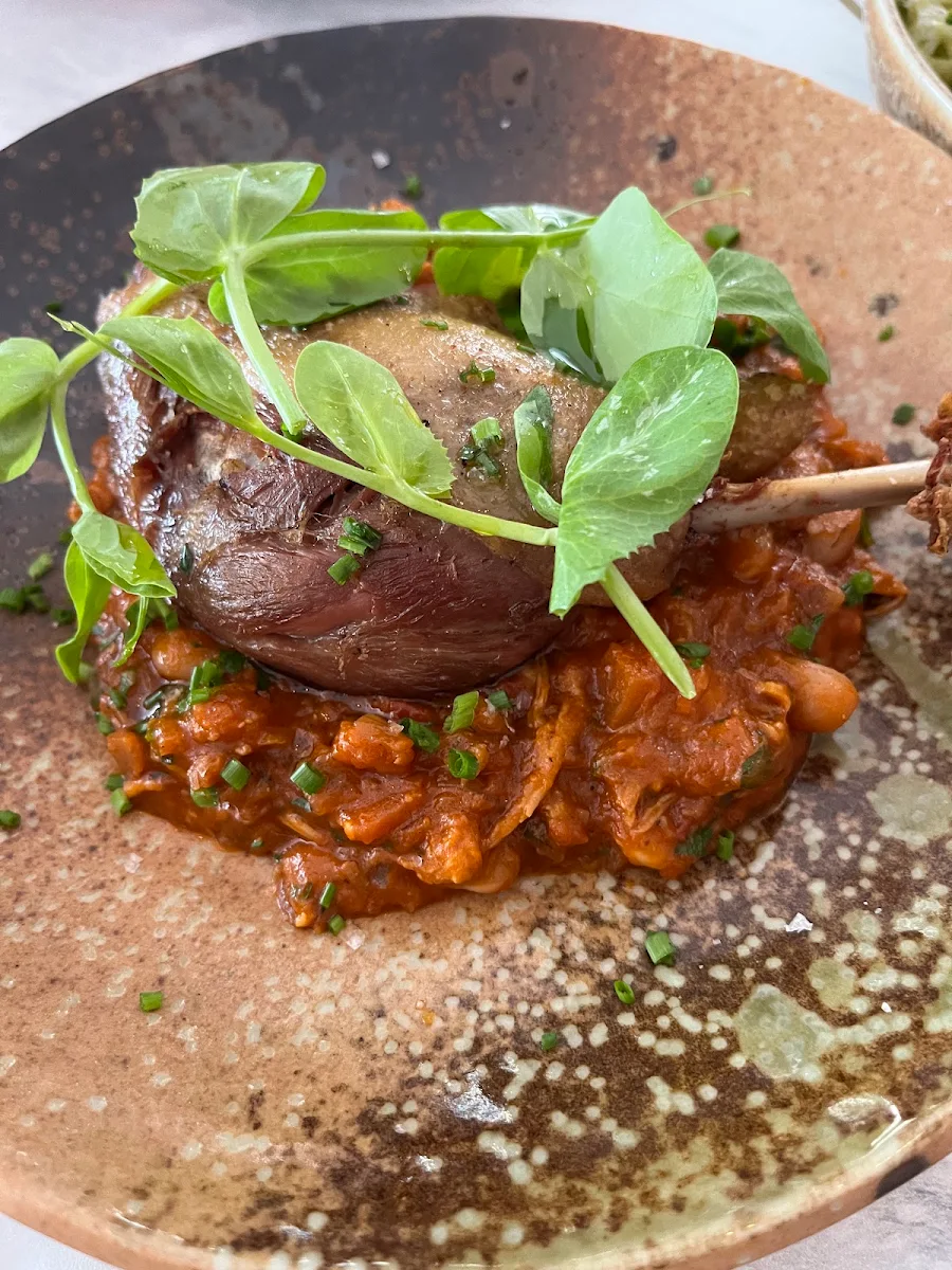 Duck, BACARI