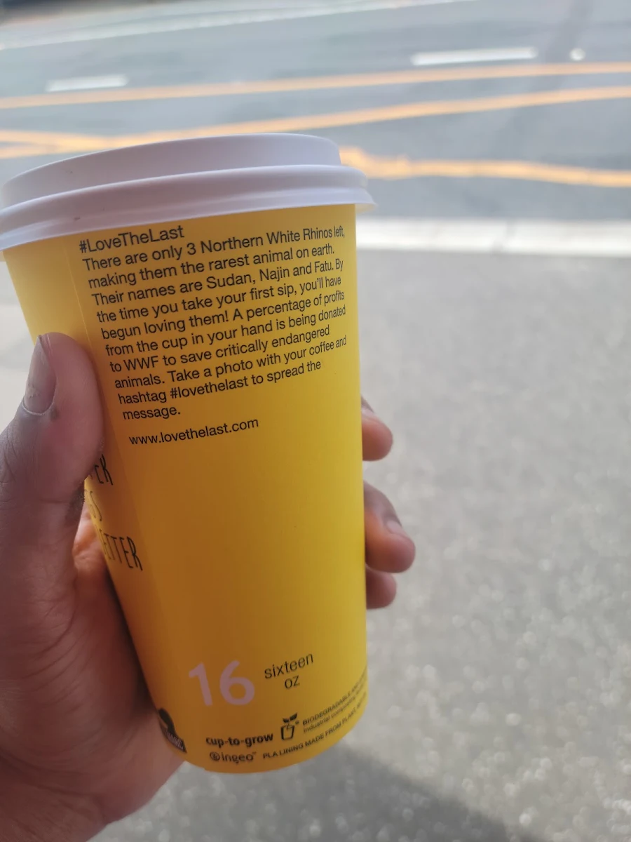 Chai Latte, Daniel Son Murrumbeena