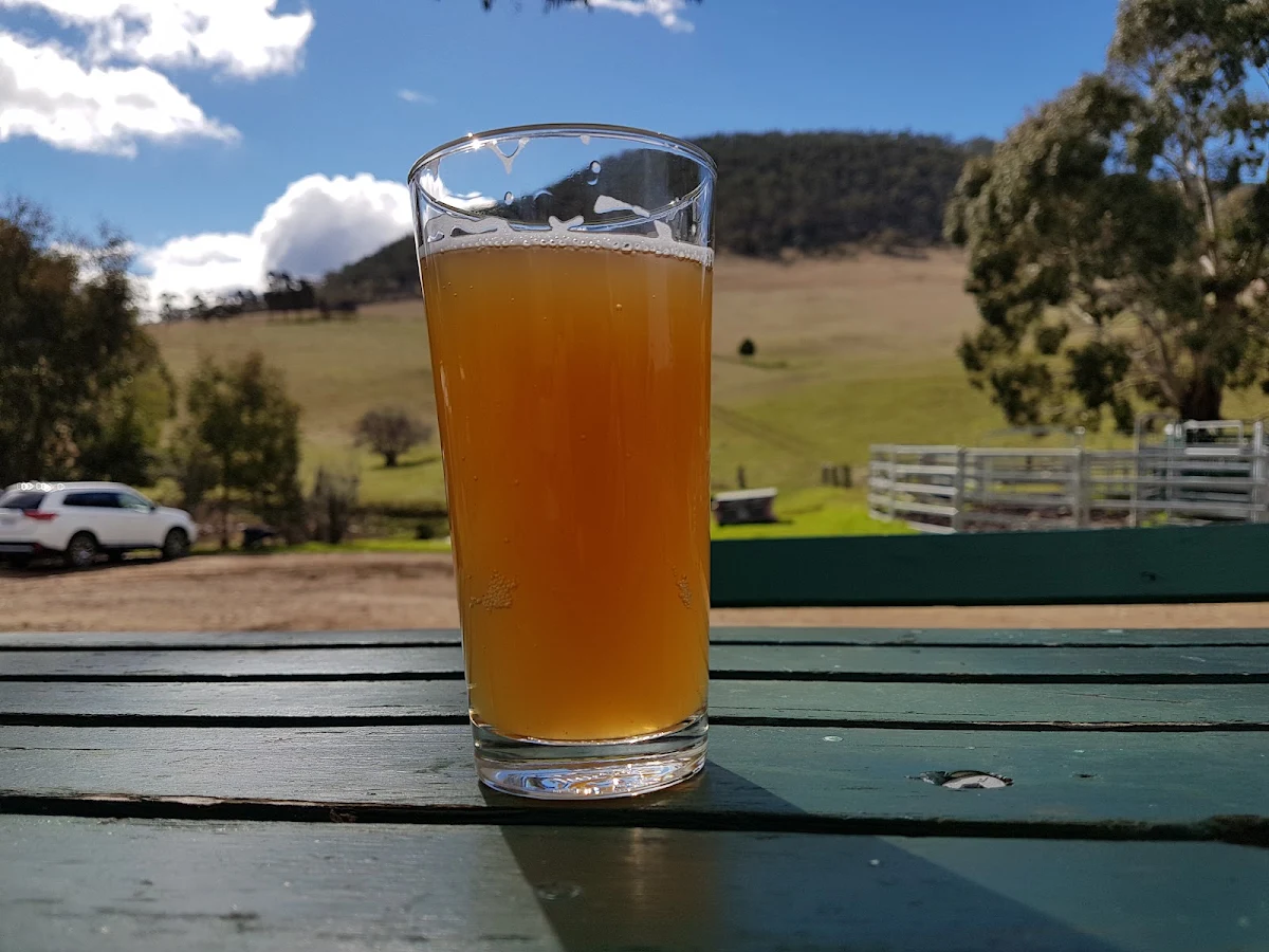 Highlights, Two Metre Tall Farmhouse Ale & Cider