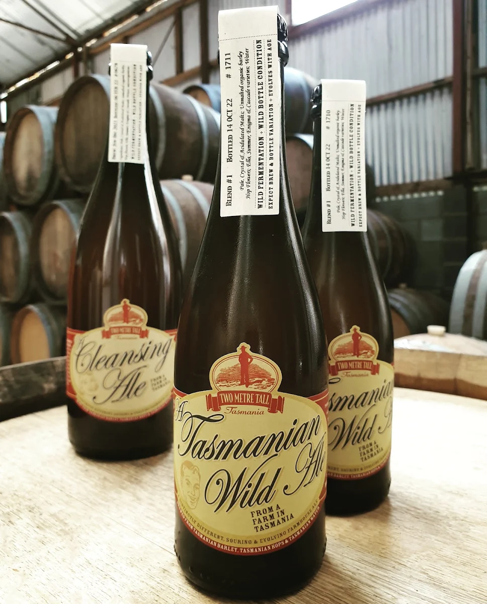 Highlights, Two Metre Tall Farmhouse Ale & Cider