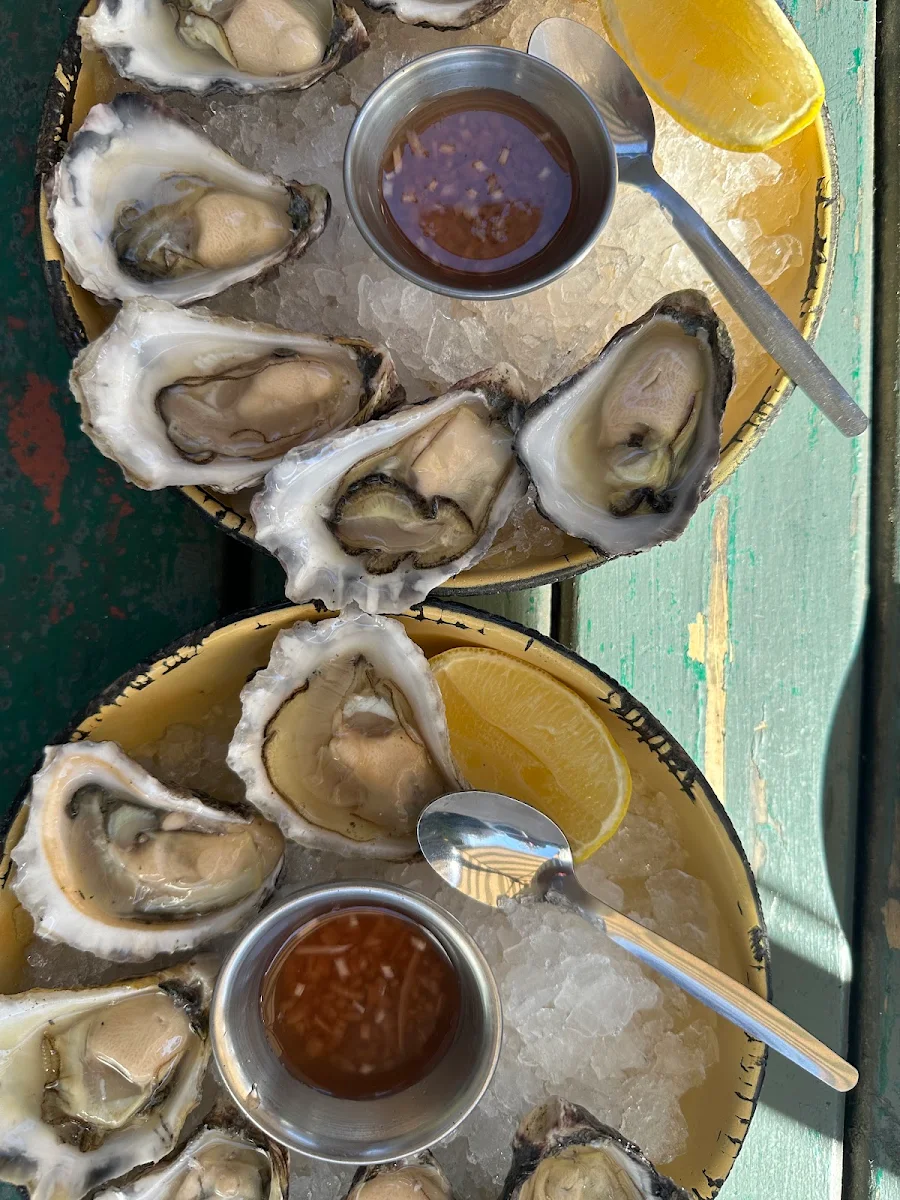 Oysters
