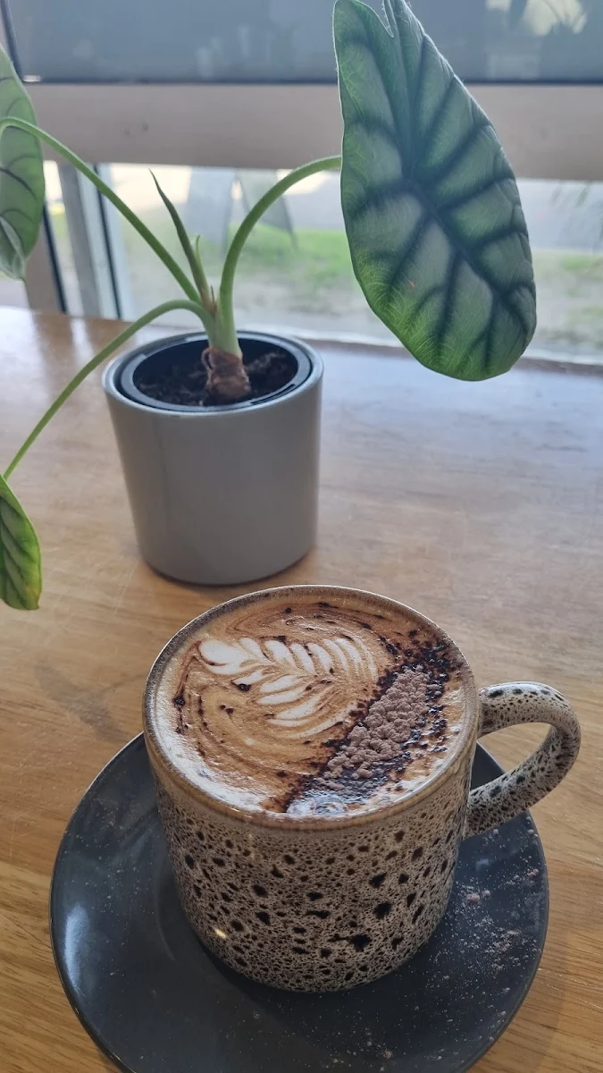 Highlights, Little Buddha Coffee House