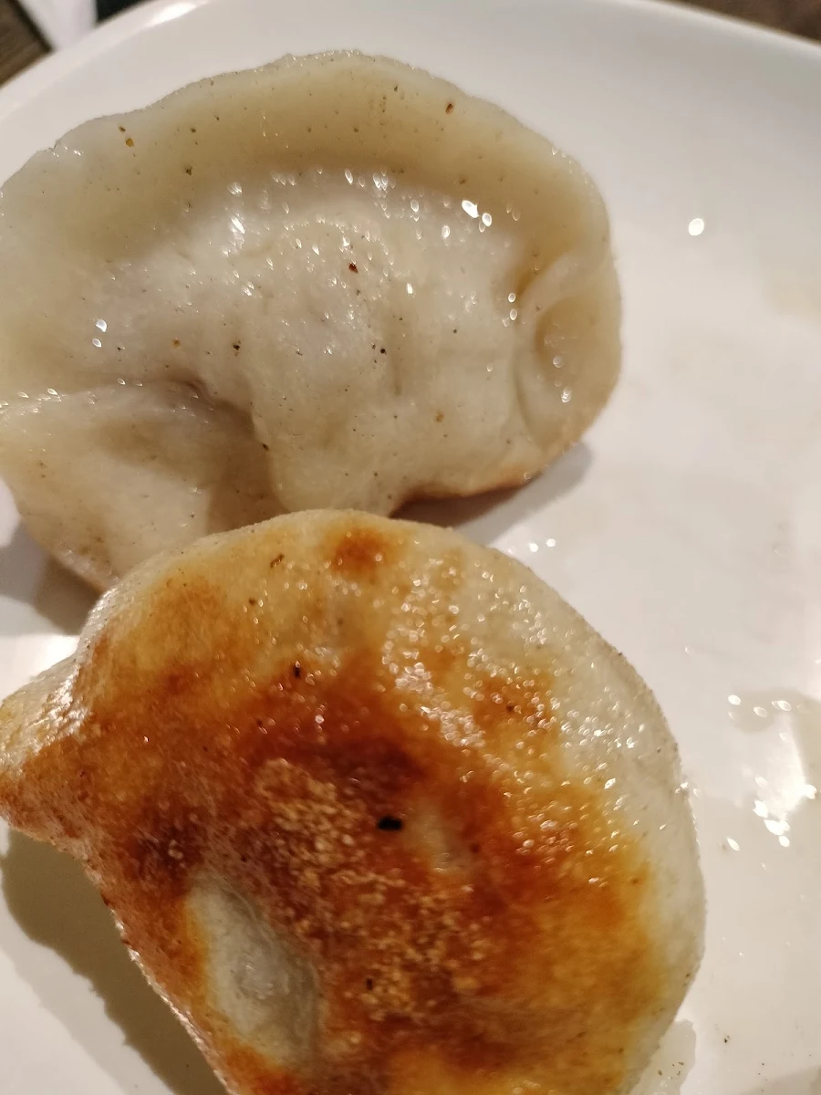 Chicken Dumplings