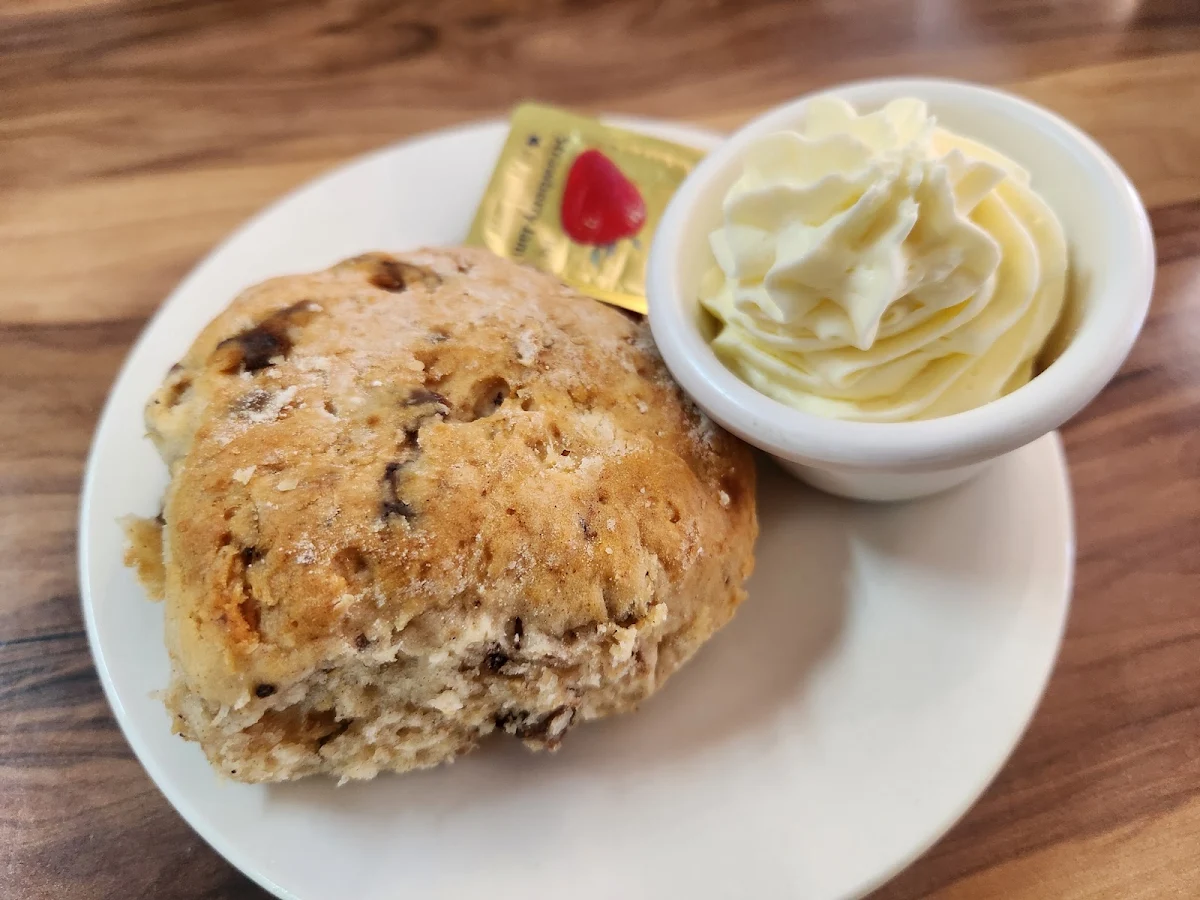 Date Scone, Maleny Bakery