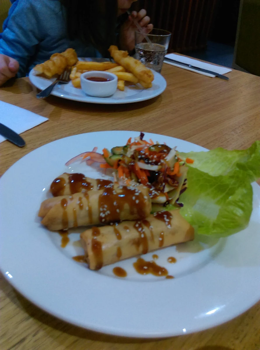 Duck Spring Rolls, Zephyr Restaurant