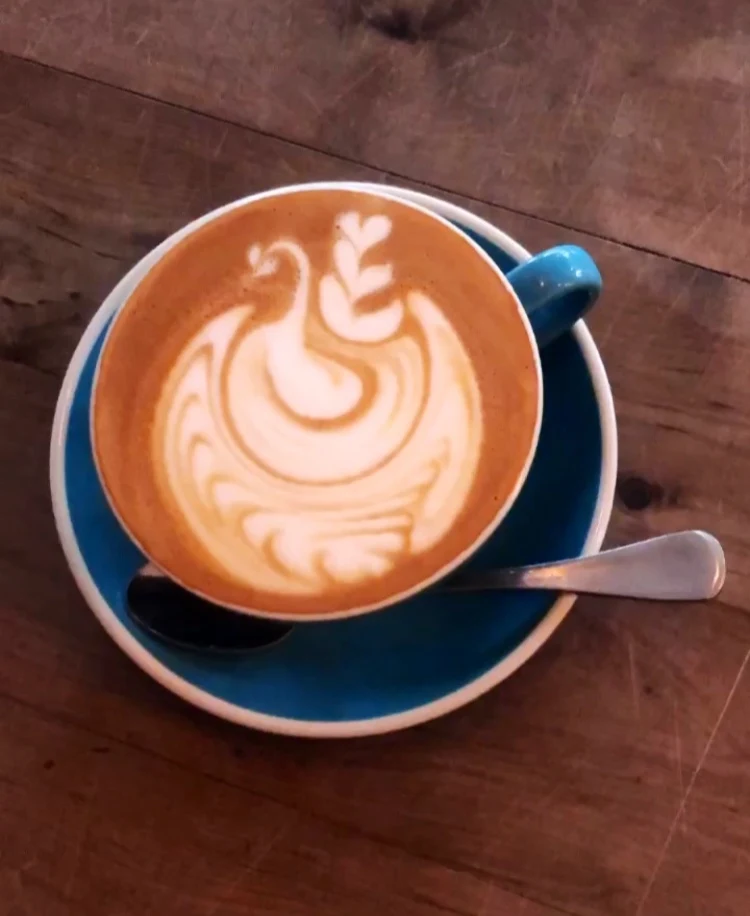 Flat White, Felix & Co. Specialty Coffee