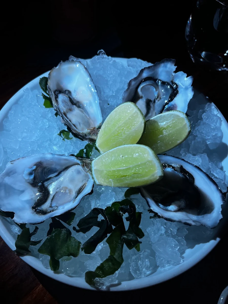 Sashimi & Fresh Oysters