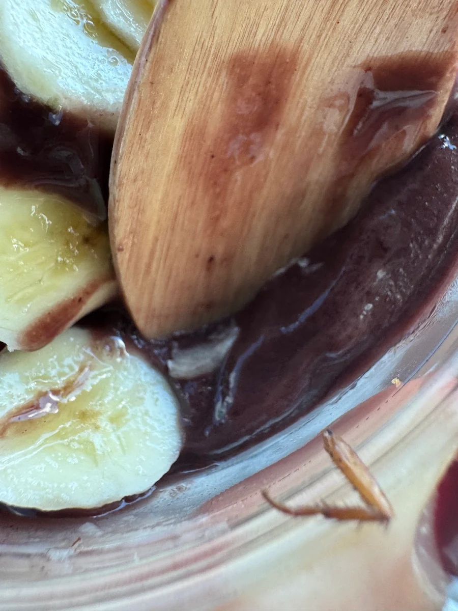 Highlights, Oakberry Acai Caloundra