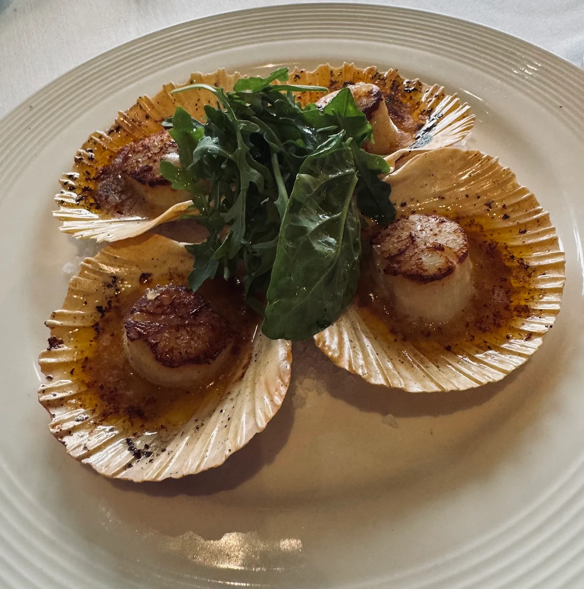 Scallops, Biviano's Restaurant Dural