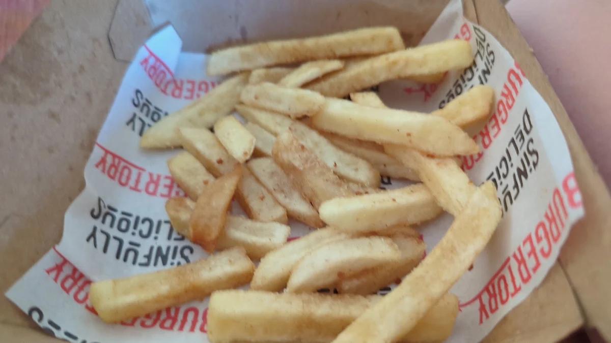 Chips, Burgertory (Coburg North)