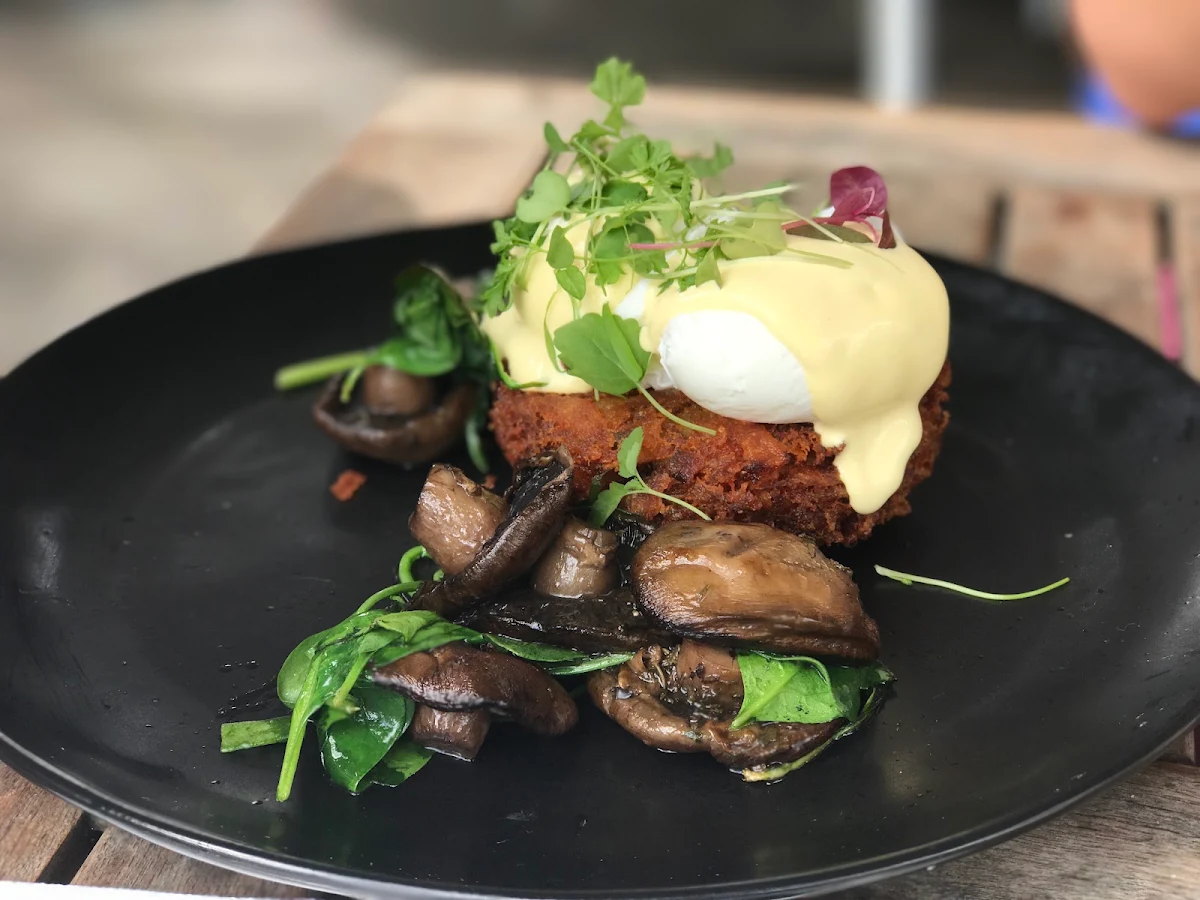 Eggs Benedict Stack GFO Vo, Espresso 3094