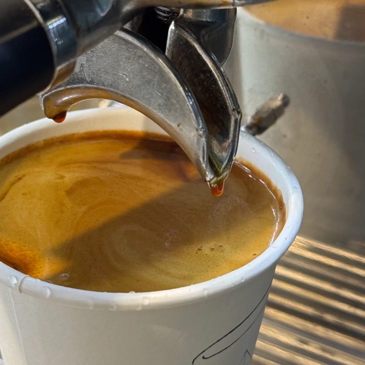 Highlights, Align Coffee