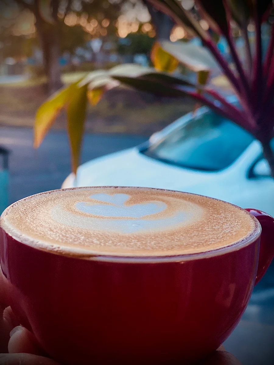 Highlights, Warra Dam Bakery Cafe