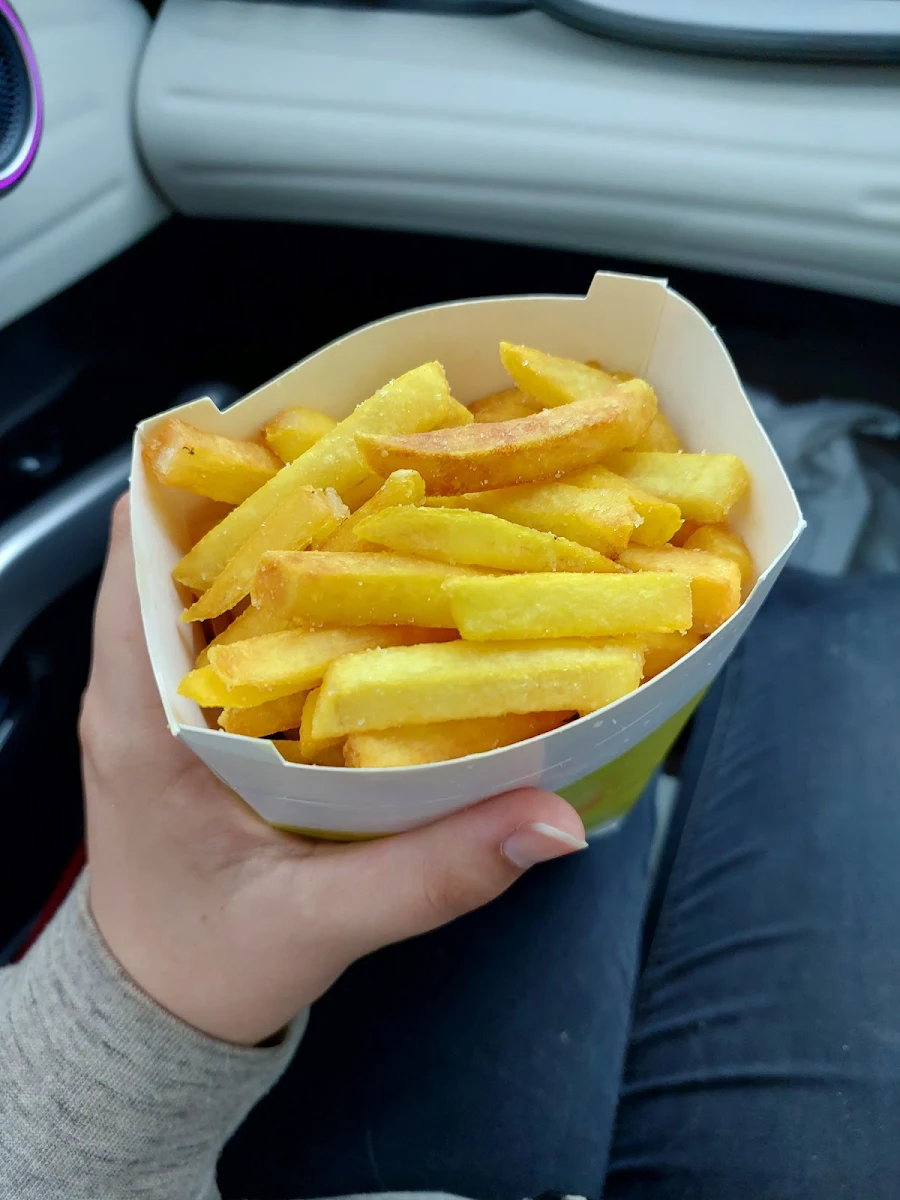 Large Chips