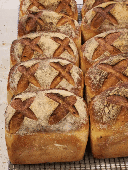 Highlights, Firebrand Sourdough Bakery