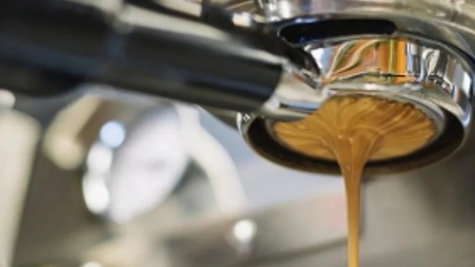 Espresso, Palate & Ply Espresso Bar, Cafe & Roastery