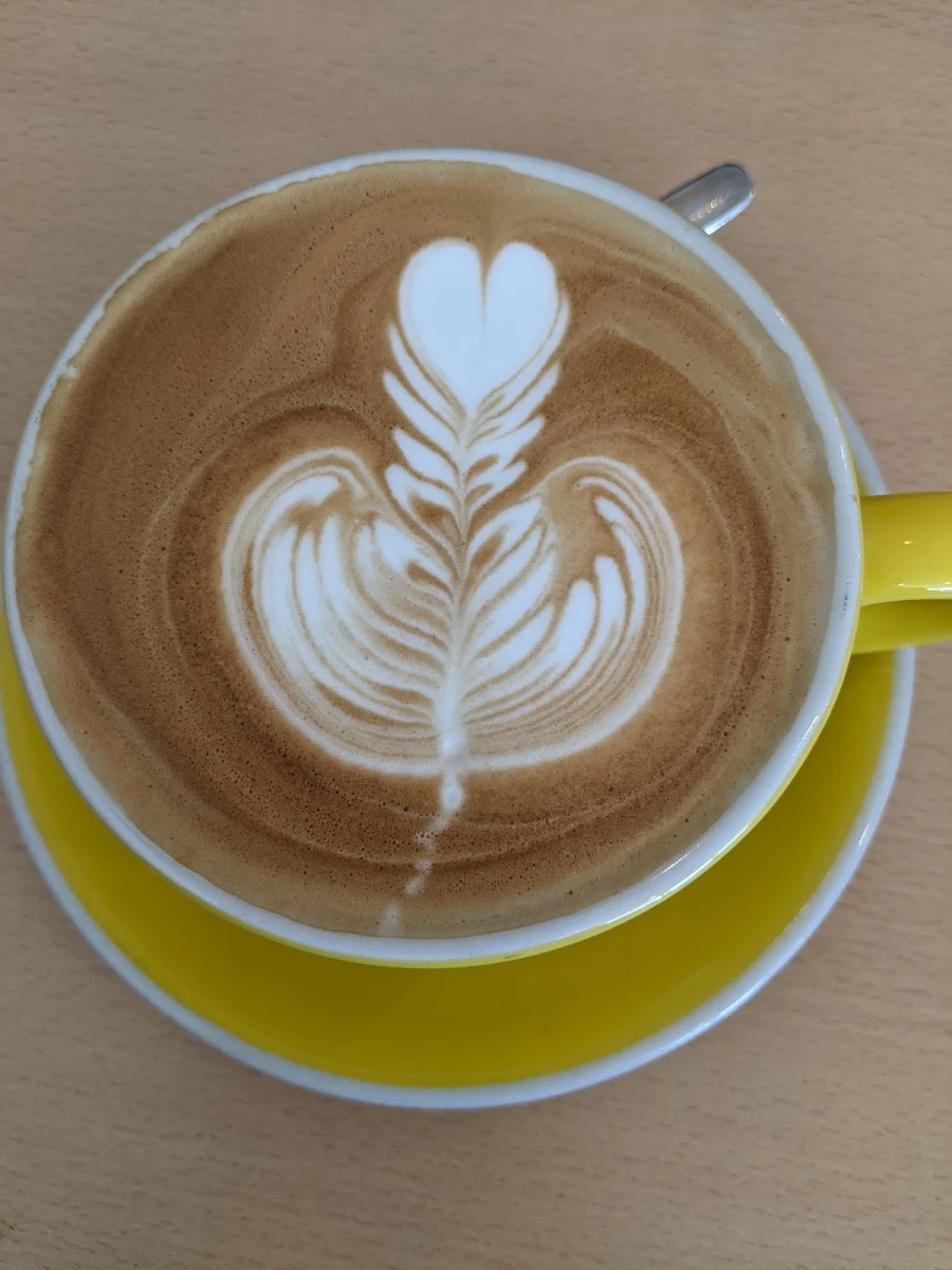 Latte, Cheeky Chewies 2 (Werribee)