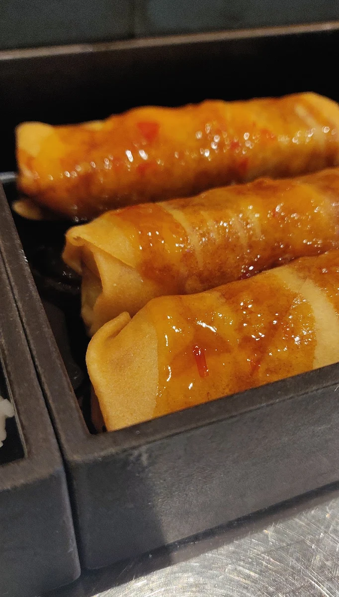 Vegetarian Spring Rolls V