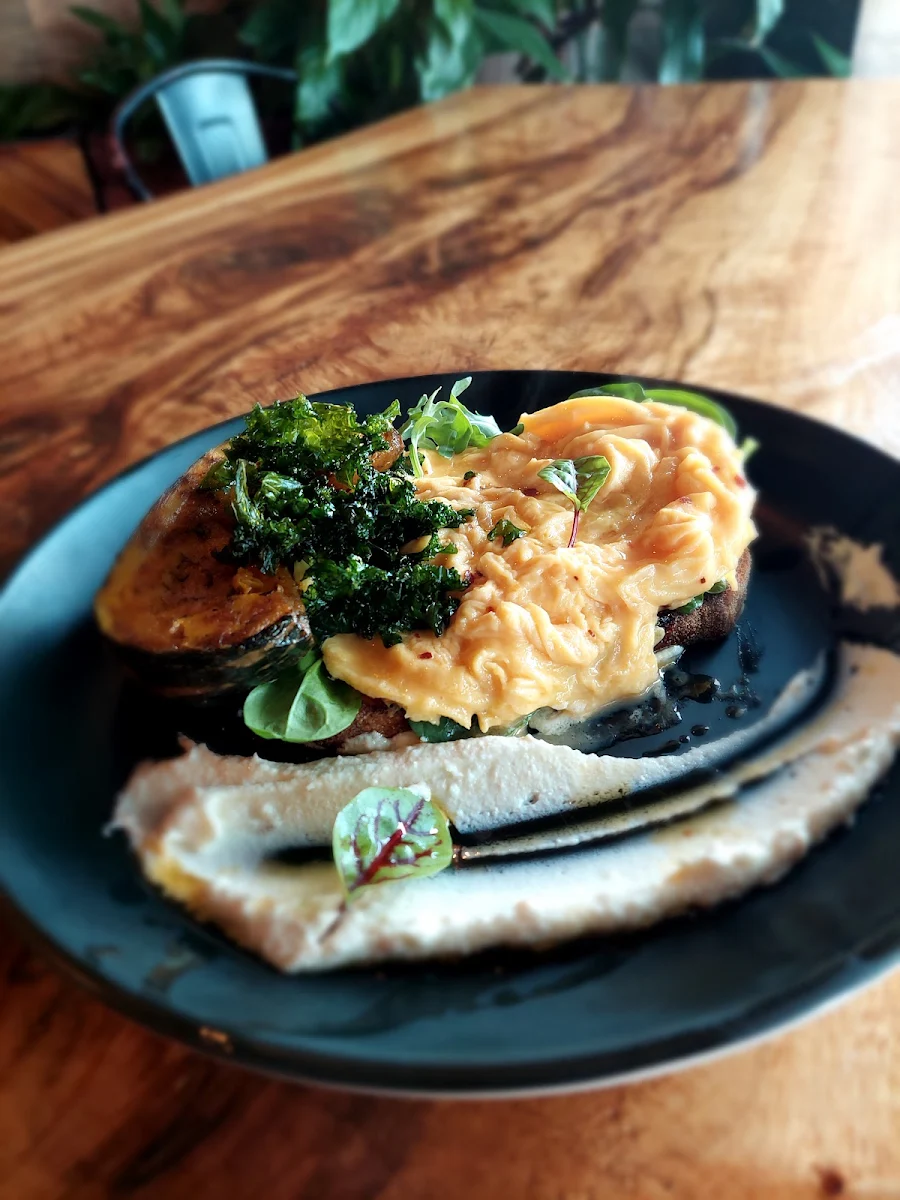 Highlights, The Bite Gladesville