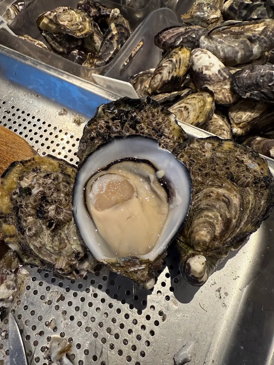 Oyster Selection, Olala Seafood by Muli