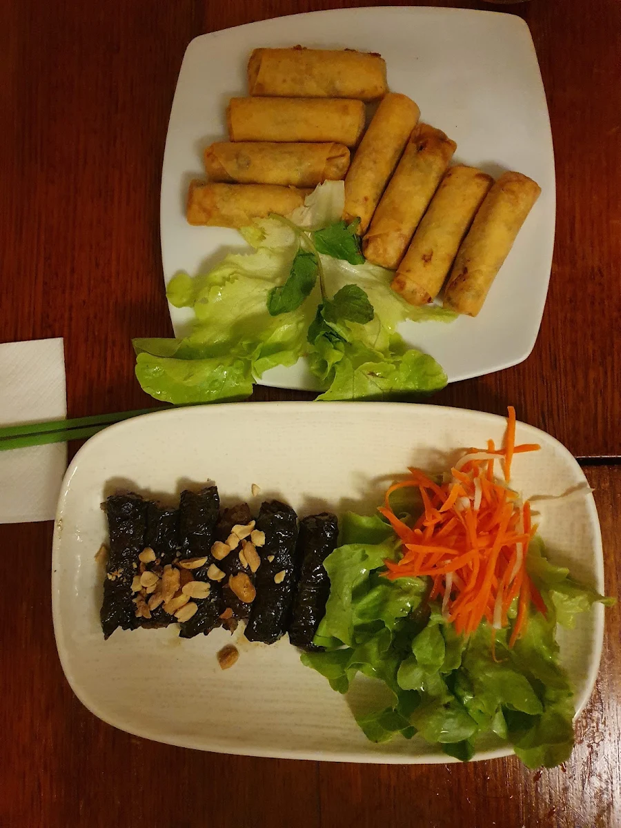 Spring Rolls, Tre Viet Restaurant