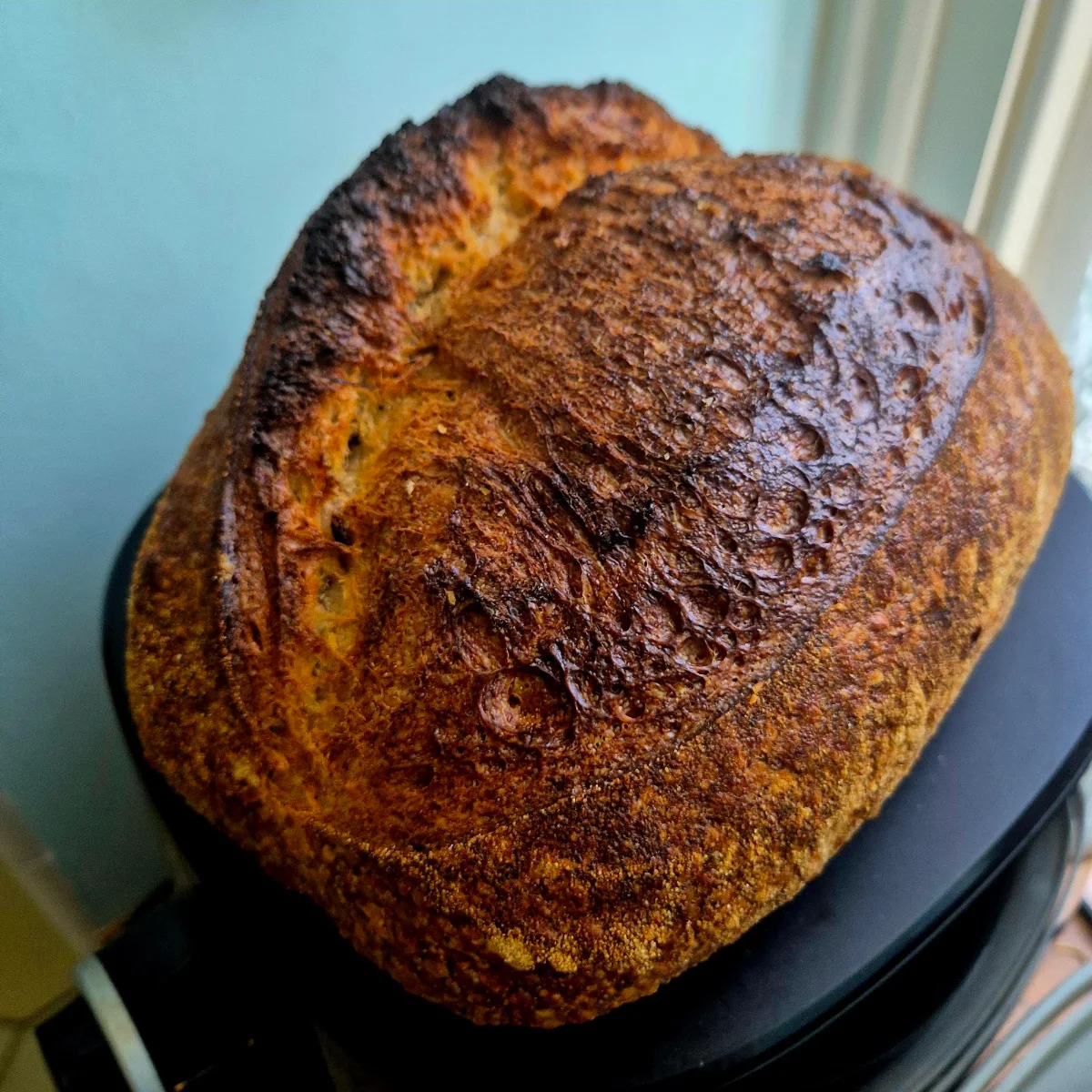 Sourdough