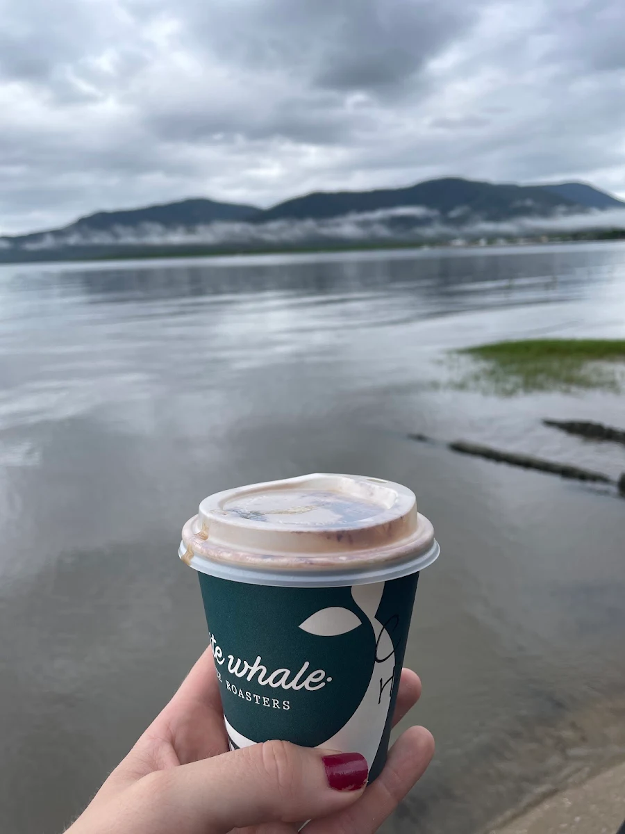 Highlights, The Quack Coffee