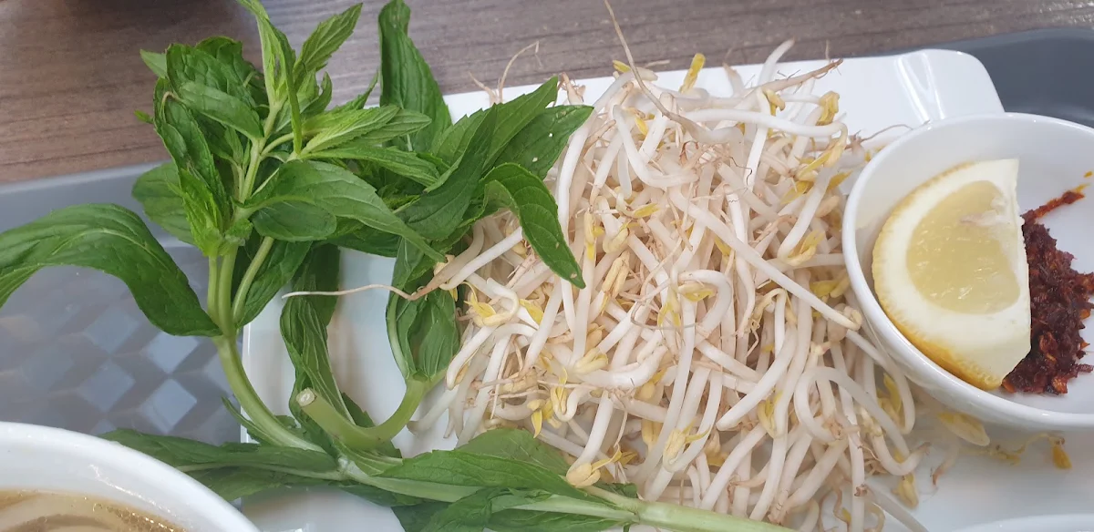 Highlights, MCQ Vietnamese Street Food